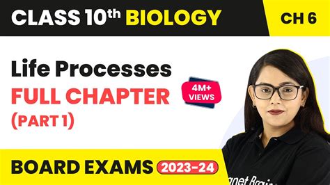 Life Processes Class 10 Full Chapter Part 1 Cbse Class 10 Biology Chapter 6 2022 23 Youtube