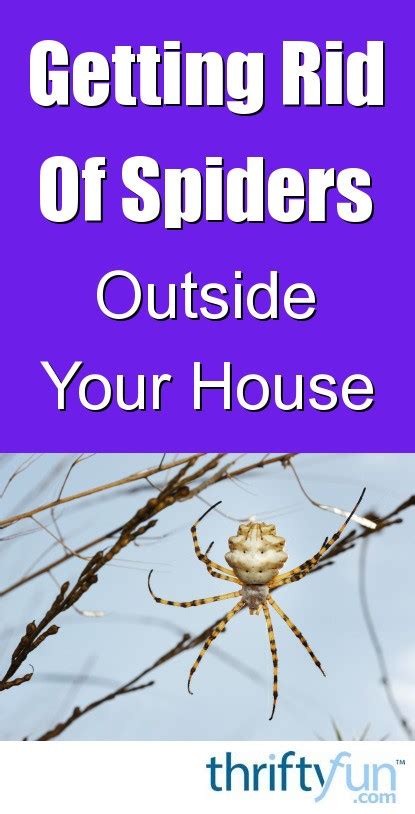 Getting Rid Of Spiders Outside House Thriftyfun