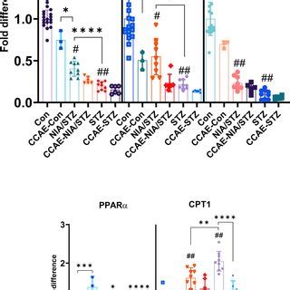 Hepatic Mrna Expression Of Srebp C Acc Fas Ppar And Cpt On Day