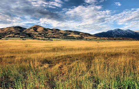 Grassy Plains and Ancient Dunes Photograph by Kristin Elmquist