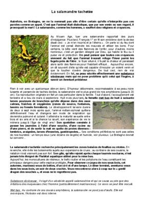 Salamandre Pdf Notice Manuel D Utilisation