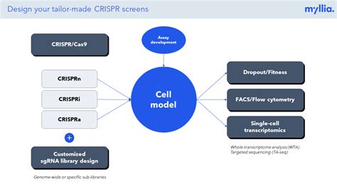 Crispr Resources Crispr Explained Myllia Biotechnology