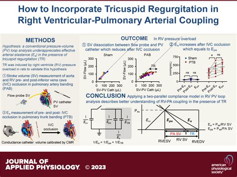 How To Incorporate Tricuspid Regurgitation In Right Ventricular