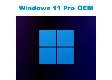 Buy Microsoft Windows 11 Pro OEM Licensed Operating System Windows 11