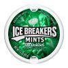 Ice Breakers Spearmint Sugar Free Mints 42gm