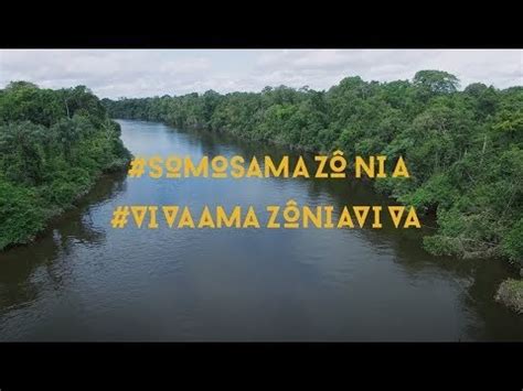 Wwf Promove Campanha Somos Amaz Nia Aventuras No Conhecimento