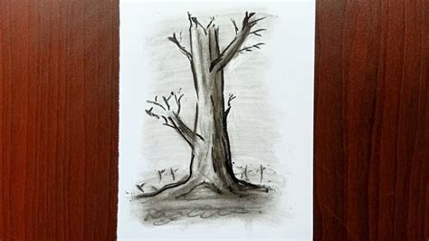 Easy Charcoal Drawings Of Trees