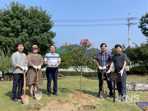 영동교육지원청 청렴나무 심기 및 청렴타임캡슐 봉인식 개최 Kns뉴스통신