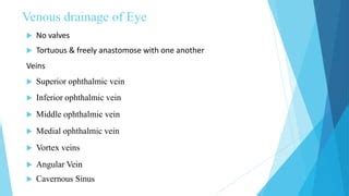 Ocular Blood Flow In Glaucoma PPT