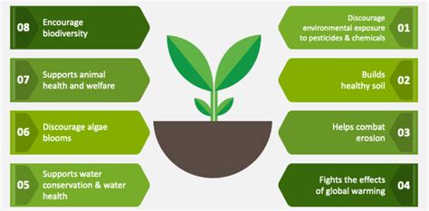 Natural Farming In India Characteristics Examples And Scope