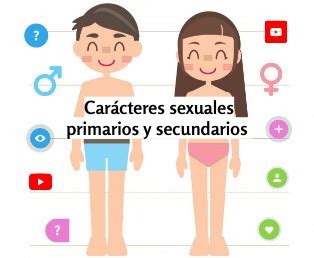 Caracteres Sexuales