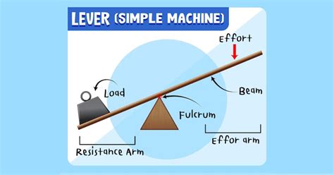 3rd Class Levers Examples - Vivid Examples