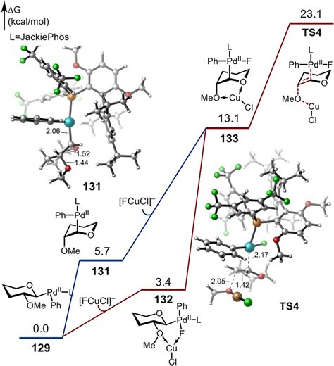 Glycosyl Cross Coupling Of Anomeric Nucleophiles Scope Mechanism And