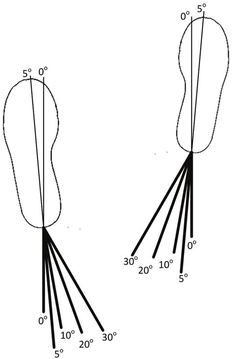 The combination of left and right foot progression angle during data... | Download Scientific ...