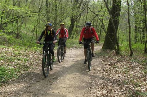 Easy Tour In Bici Nel Parco Del Curone Vivitravels