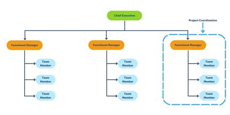 Functional Organizational Structure: Everything You Need to Know