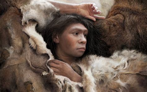 A Neanderthal Woman Waking Up From Her Nap Art By Tom Björklund R