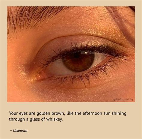 Pin By Qatarulnidaa On Cheers To Love 🥂 Brown Eye Quotes Pretty