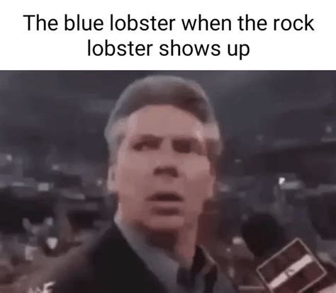 Blue Lobster Meme | Blue Lobster / Lobstered | Know Your Meme