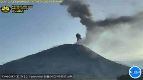 Gunung Ili Lewotolok Di NTT Erupsi PVMBG Ingatkan Waspada Guguran Lava