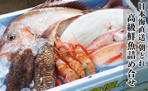 日本海直送 高級鮮魚ボックス 旬の魚詰め合せ 魚のプロが選んだ厳選魚 新潟 糸魚川 能生漁港から朝獲れ新鮮な魚をお届け 生 国産 天然 海鮮