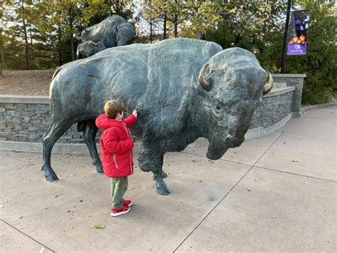 Spring is here at the Minnesota Zoo + Ticket Giveaway - Thrifty Minnesota