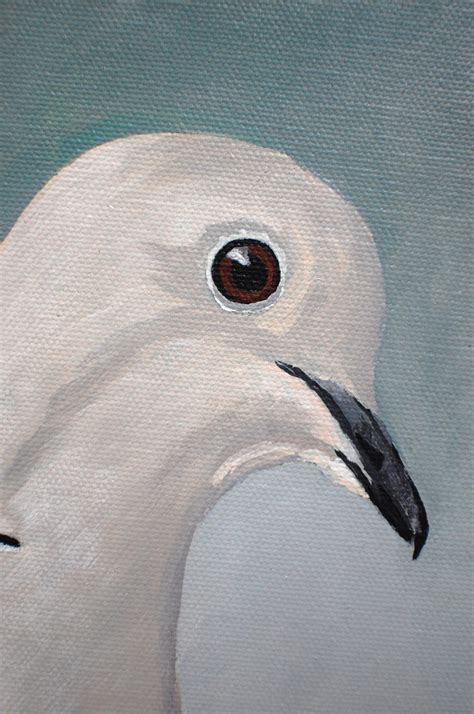 Dove Painting Pigeon Painting Bird Painting Small - Etsy