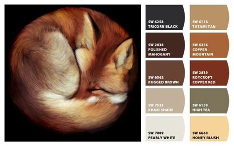 Fox Color Chart