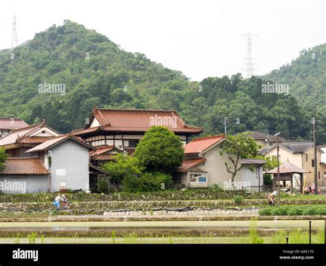 Rice Paddy And Traditional Japanese Houses Stock Photo Alamy