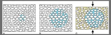 Origin Of Sandstone Concretions A Dissolved Calcium And Carbonate In