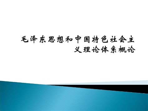 毛概pptword文档在线阅读与下载无忧文档