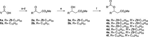 Synthesis Of Compounds Reagents A Dcc Dmap Ch2cl2 B Meldrum’s Download Scientific Diagram