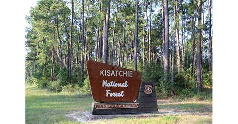 Kisatchie National Forest Hike Bcos