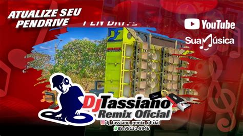 Piseiro Forrozin Bora Bill Dj Melk Piseiro Atualizado Forrozin YouTube