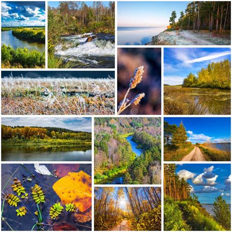 Collage De Las Fotos De La Naturaleza De La Estaci N Del Oto O Foto De