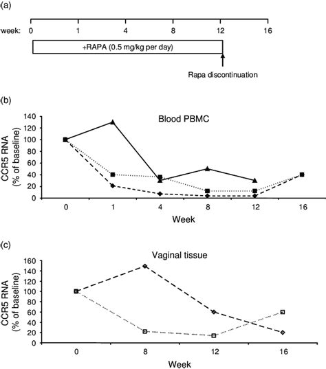 Effect Of Rapamycin Administration On Ccr5 Messenger Rna Levels In