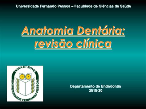 Solution Anatomia Dentaria Endodontia Medicina Dentaria Studypool