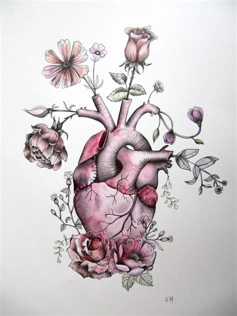 Pin By Allyson Marencik On Drawings Human Anatomy Art Anatomy Art