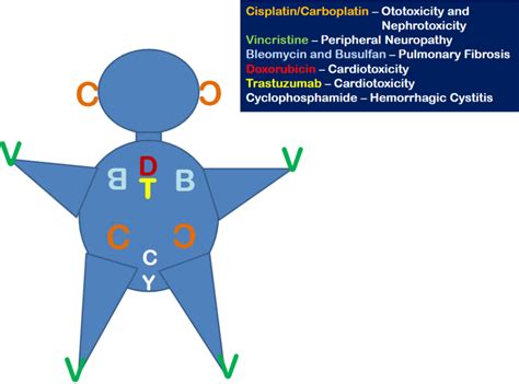 Heme Oncology Drugs Diagram Quizlet