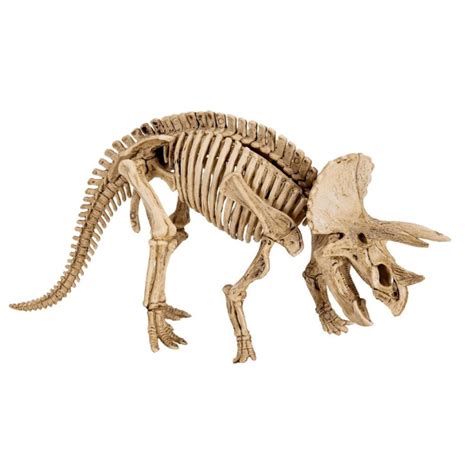 Du Y Zestaw Do Wykopalisk Triceratops T Rex World Spiegelburg