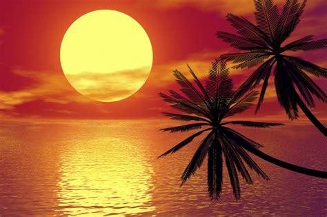 Palm Tree Sunset Painting At Explore Collection Of