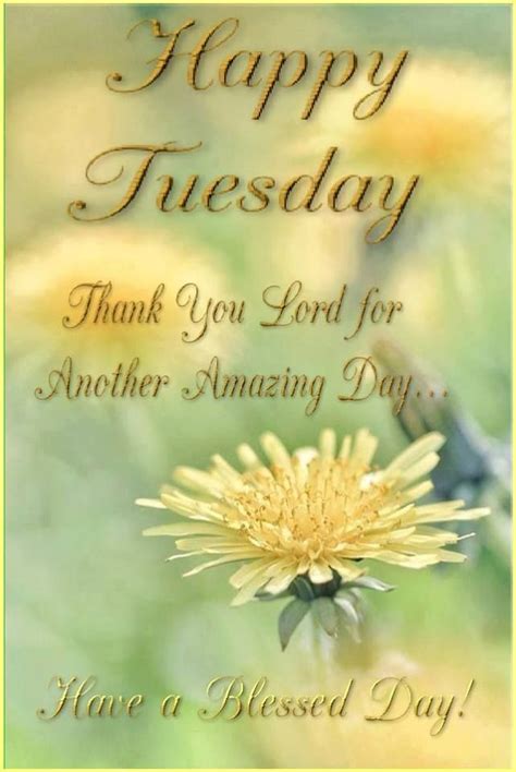 Happy Tuesday ️ Greetings And More Pinterest Tuesday Quotes