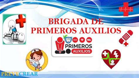 Brigada Primeros Auxilios Por Colores Eo Ppt