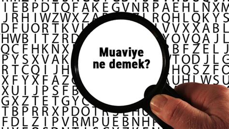 Muaviye Ne Demek Ne Anlama Geliyor Muaviye Kelimesinin Anlam Nedir