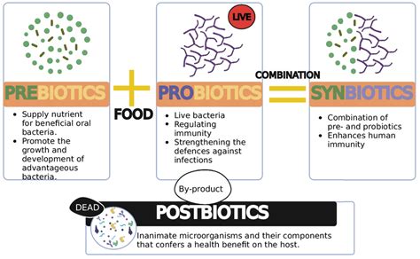 Definition Of Prebiotics Probiotics Synbiotics And Postbiotics