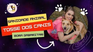 Traqueobronquite Infecciosa Canina Tosse Dos Canis Doovi