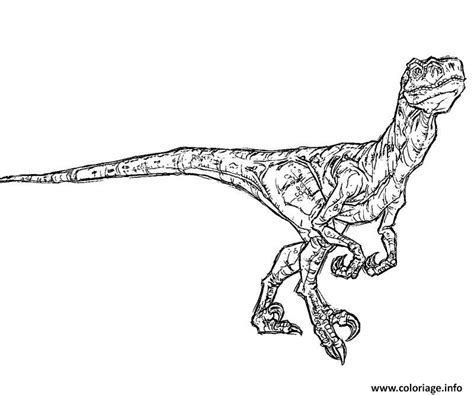 Coloriage Dinosaure Dessin Velociraptor à Imprimer en 2021 Coloriage