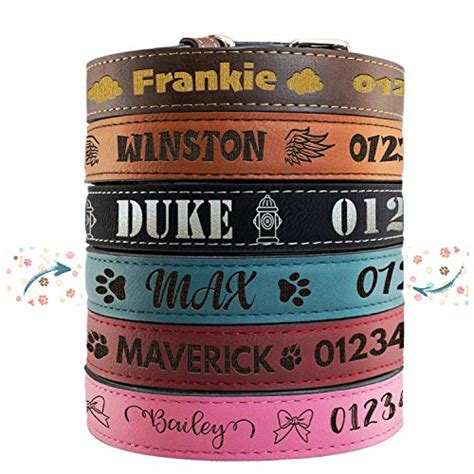 Collares Para Perros Personalizados De Cuero Los 15 Mejores Productos