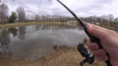 Spring Sight Fishing For Largemouth Bass Youtube