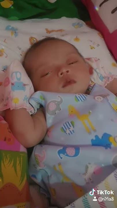 Tik Tok Baby Lucu Youtube